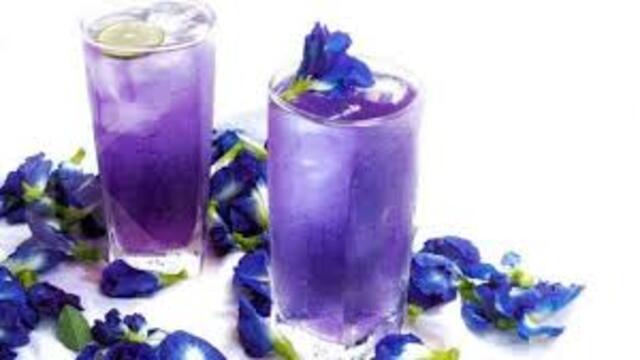 Segarnya Minuman Bunga Telang